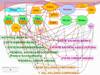 Bank Regulations Framework